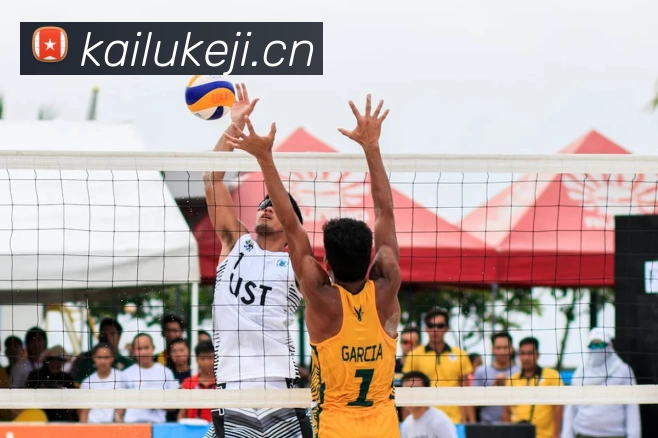 尊龙凯时 - 中国官方网站平台生态图